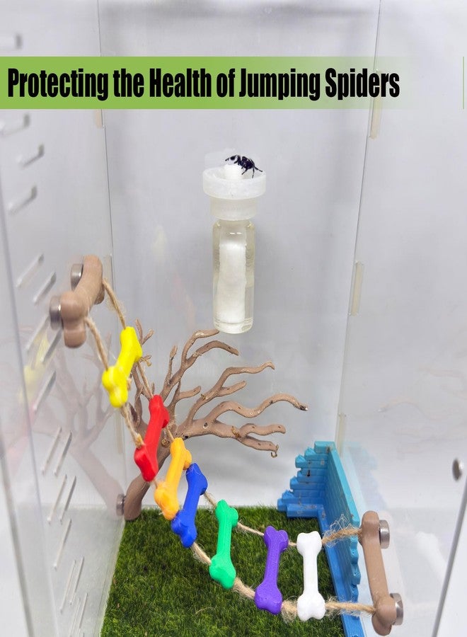 Daerky Jumping Spider Water Dispenser, Magnetic Hanging Feeder,Suitable for Jumping Spiders,Tarantulas, Praying Mantises,Arboreal Animals, and Other Small Animal Enclosure Accessories (Transparent, 5ML) - Image 3